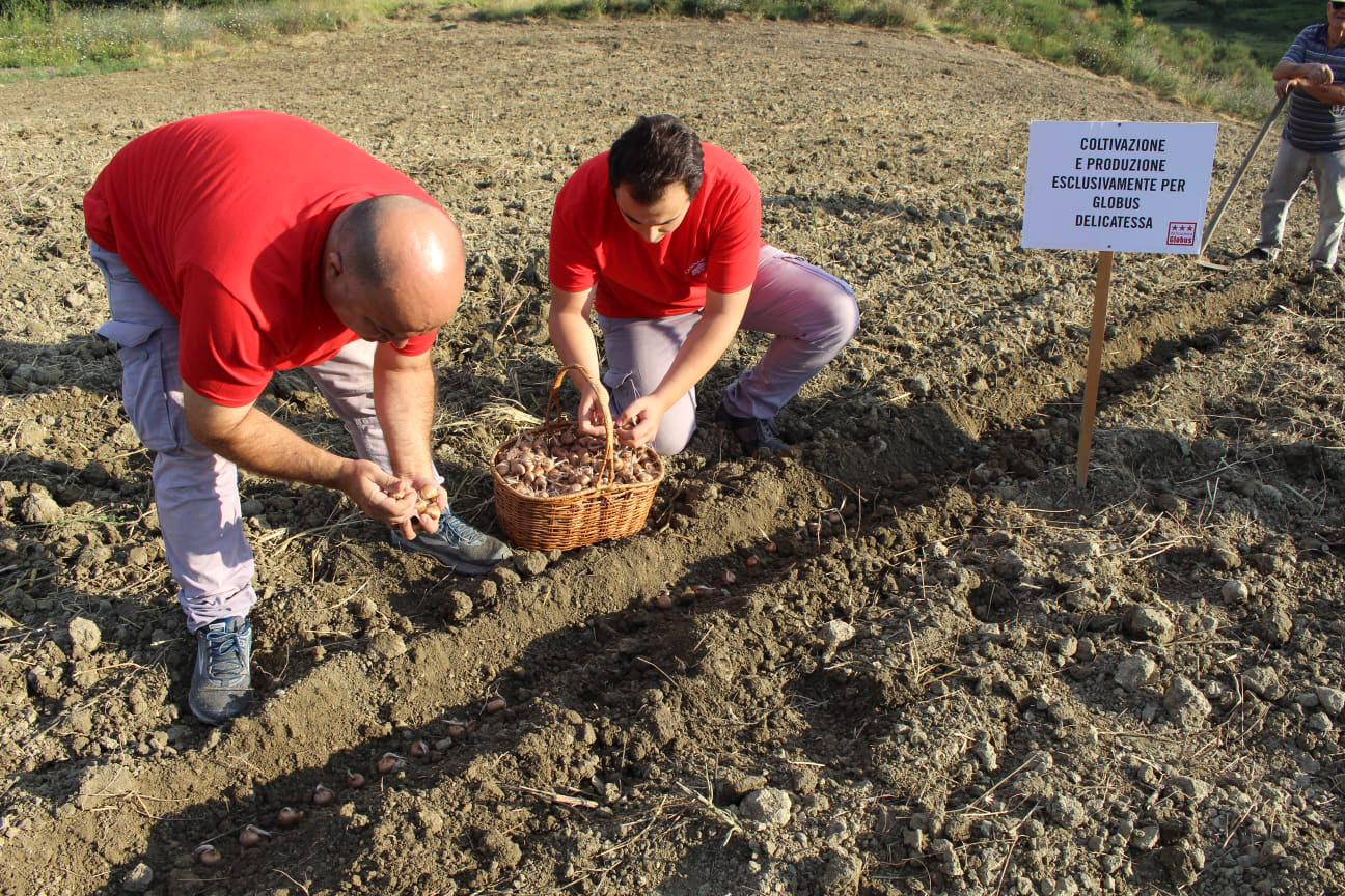 Photo Azienda Agricola Casina Rossa