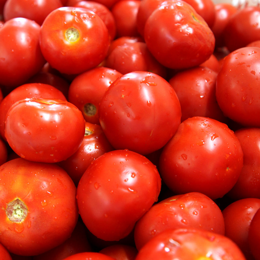 Casina Rossa - Produzione di Antipasti - Pomodoro